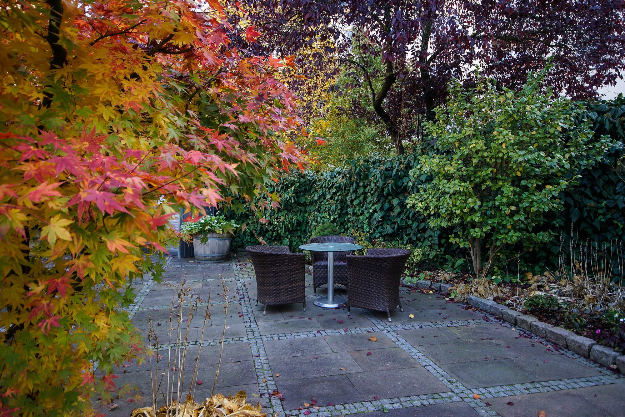 Apartmenthotel Kaiser Karl Bonn Exterior foto